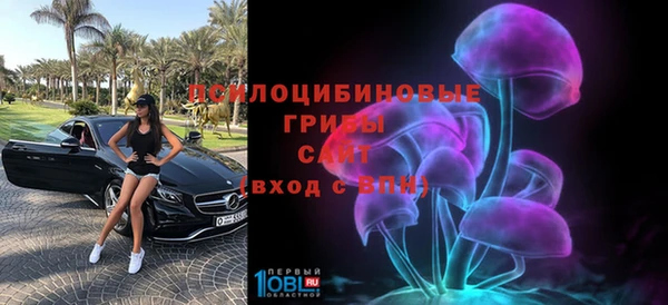 кокс Дмитров
