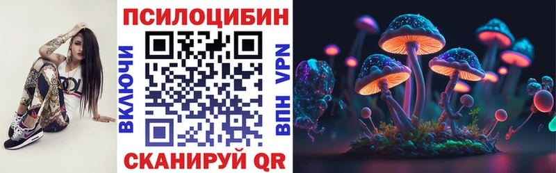 Купить закладки  Курлово  Псилоцибиновые грибы мицелий 